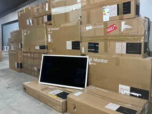 LG Monitor (14x)