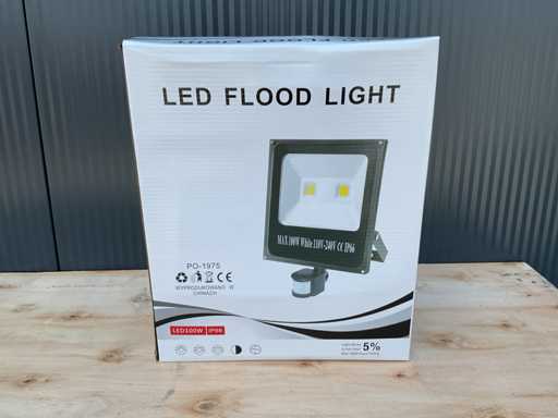 2025 Lampada LED LED PO-1975 da 100 watt ip66