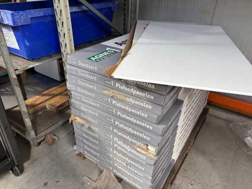 Tuiles de plafond Agnes Onestep (15x)