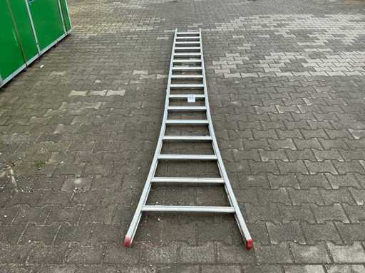 Petite échelle géante