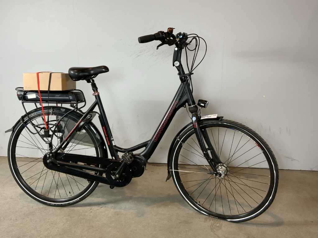 Concordia E bike Bici elettrica