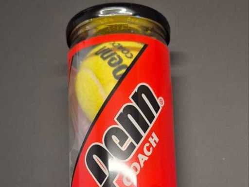 Balles de tennis Penn (10x)