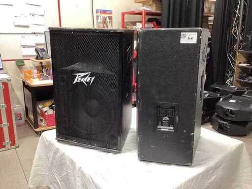 PEAVY SPEAKER + VERSTERKER