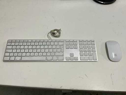 Tastiera e mouse Apple