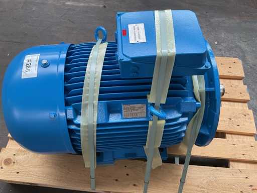 Motor eléctrico Siemens 2021 (4x)