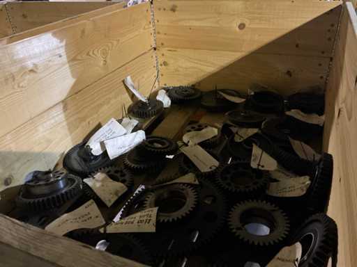 Man Diverse distributie tandwielen