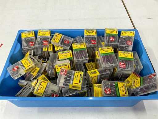 Rotadrill Assorti diverse schroeven RVS en verzinkt (100x)