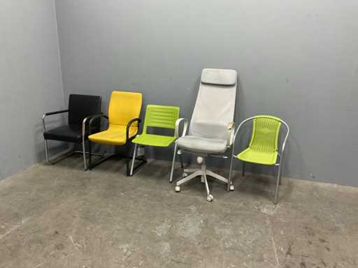 Parteivorsitzende (5x)