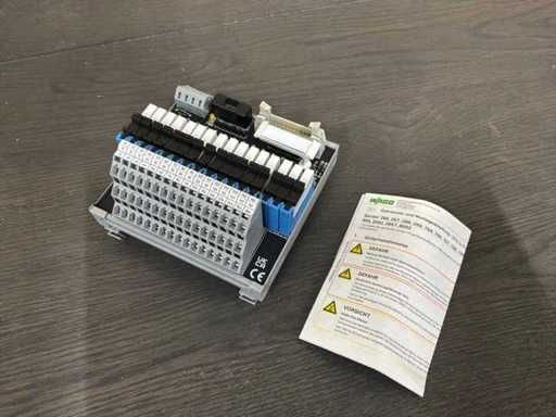 Wago 704-5024 Relaismodule met insteekbaar relais