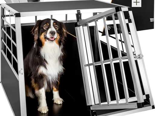 Double secure dog carrier with straight back