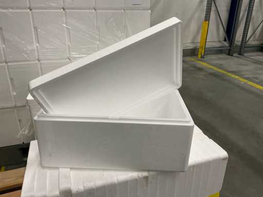 Scatole Tempex (100x)