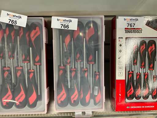 Set di cacciaviti Tengtools