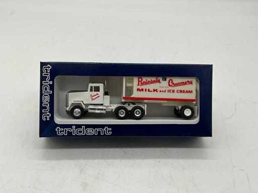 Trident Finished Model Truck