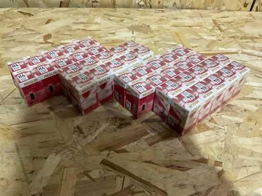 Lampe Neglin H4 (40x)