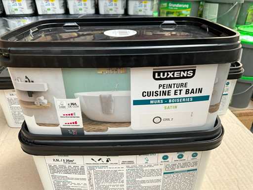 Vopseaua Luxens Cool 2 (34x)