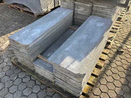 Partij Boordsteen - Grijs - 2,5 x 30 x 100 cm mix (420x)