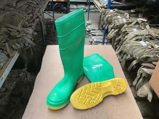 Onguard Boot
