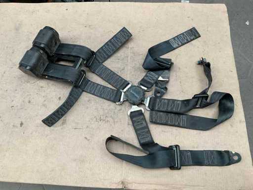Safety belt (4x)