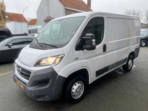 Fiat - Ducato - 250 - Van