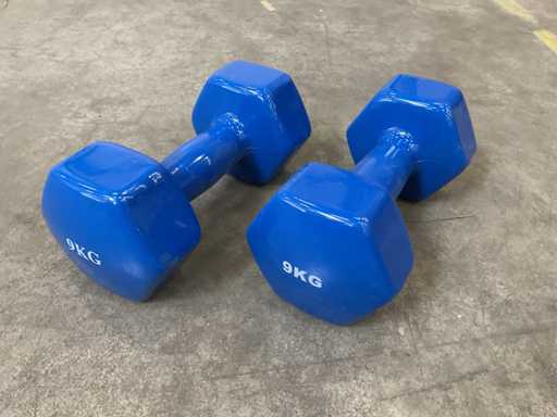 Set di 2 pezzi manubri da 9 kg
