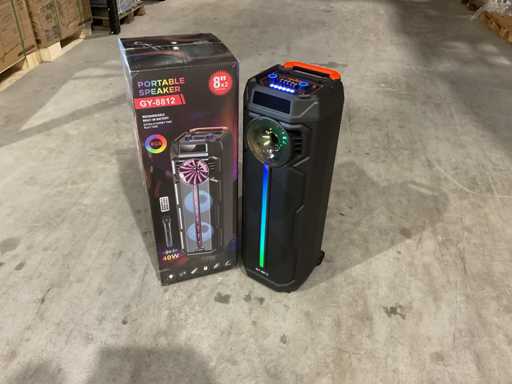 Difuzor wireless portabil GY-8813 2025