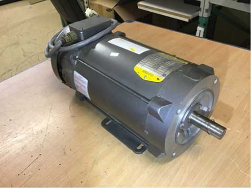 Electric motor