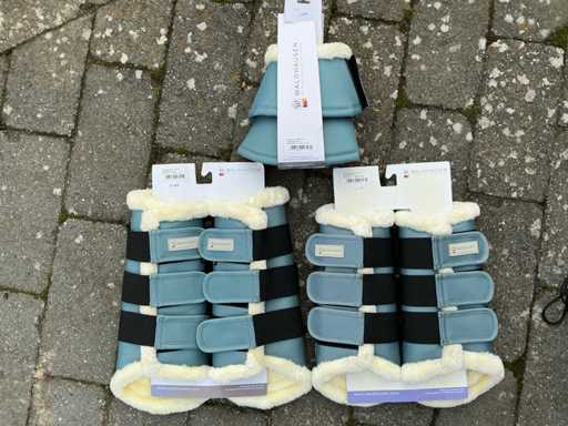 Protection horses (3x)