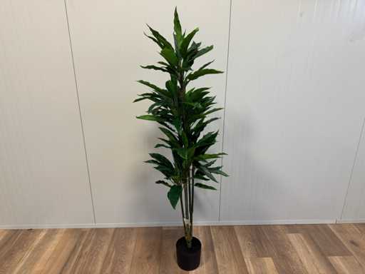 Real touch Rohdea Artificial Plant (wysokość 145 mm)