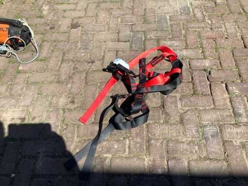 Teufelberger safety harness