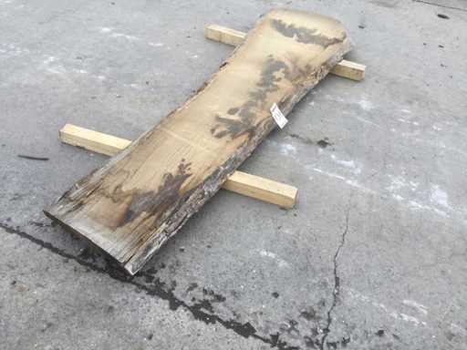 Baumstamm-Tischplatte Eiche 2450 x 450 x 50 mm 