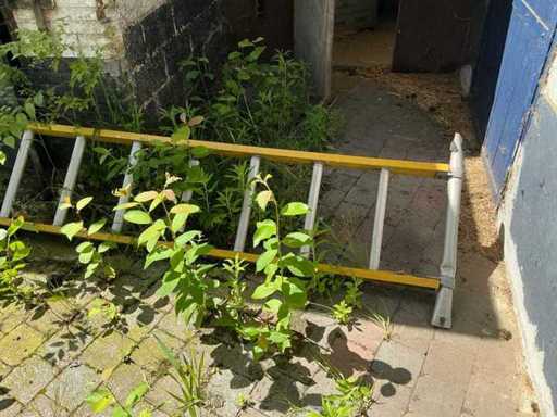 Old ladder