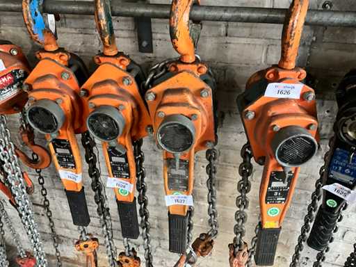 Seleziona Tenditore per paranco a catena