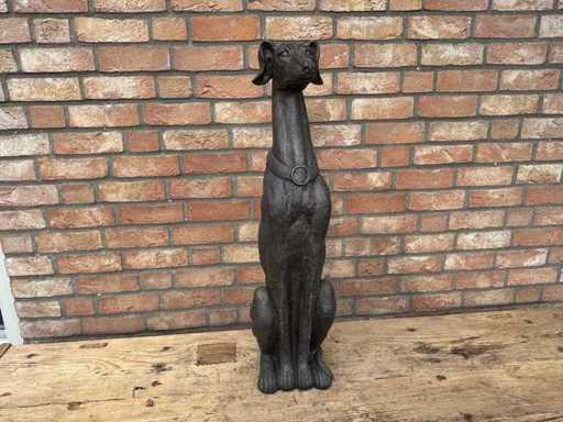Windhund sitzt 77 cm hoch