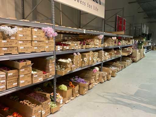 Rega? magazynowy Tegometall