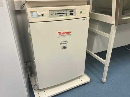 Incubatore di laboratorio CO2 THERMO ELECTRON CORPORATION STERI CYCLE 371