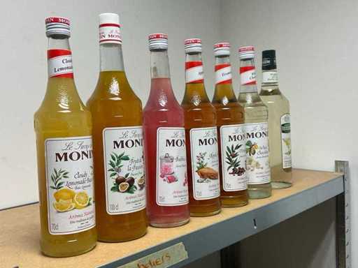 Monin-Sirup (7x)