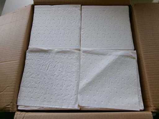 Débarbouillette en papier SE, Matériel médical (G2) (17 000x)