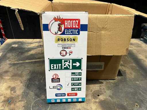 Notbeleuchtung Ausgangsroute Notbeleuchtung (10x)