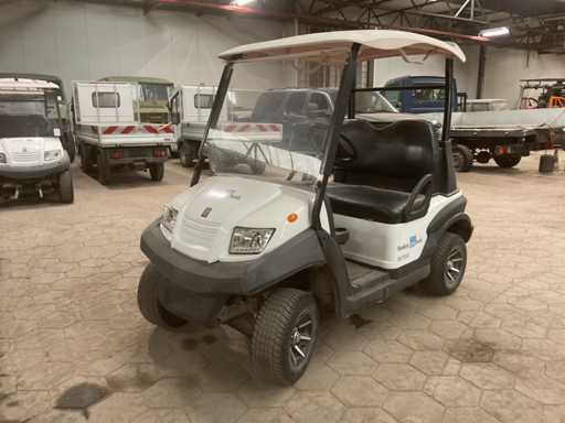 2019 Bensel cars BSN2 Golfkar