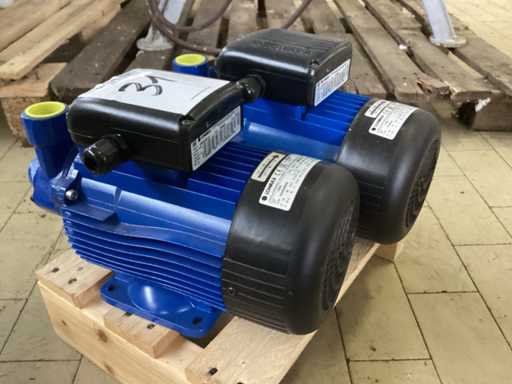 LOWARA Unused Pump (2x)