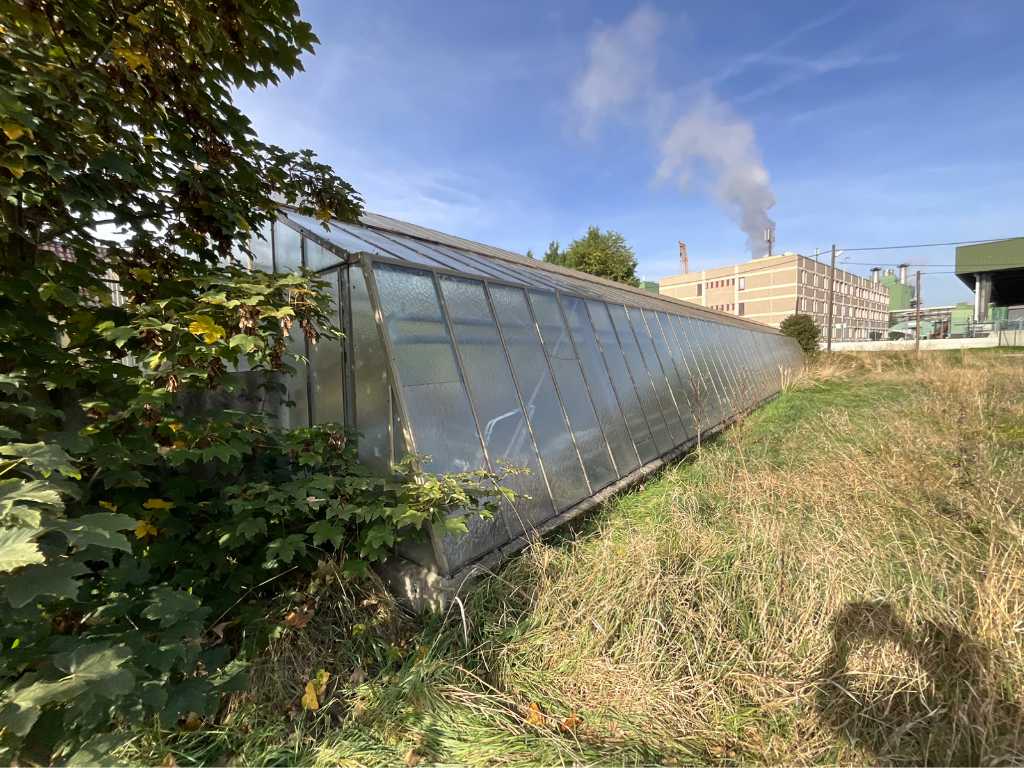 Greenhouse Glasshouse