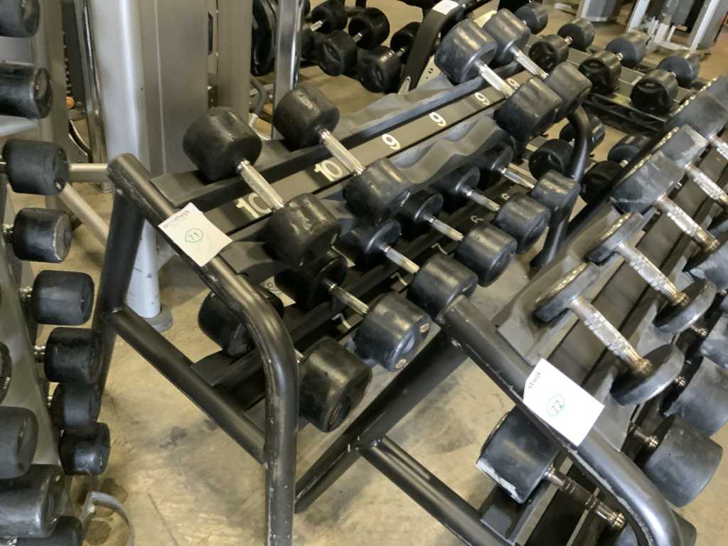 Rack technogym avec haltères Multi-gym