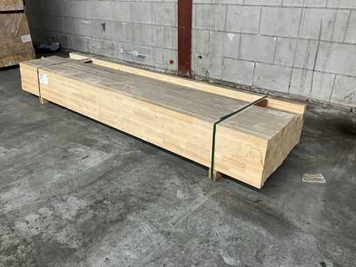 Belka świerkowa (66x)