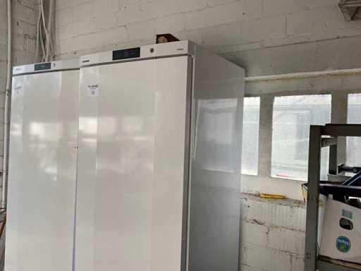 Lodówka Liebherr 6410