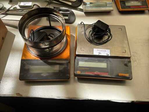 Sartorius Präzisionsskala (2x)