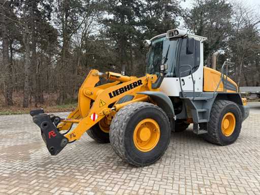Liebherr - 2011 - L542 - Shovel