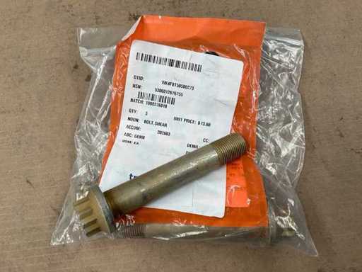 Shear bolt (3x)