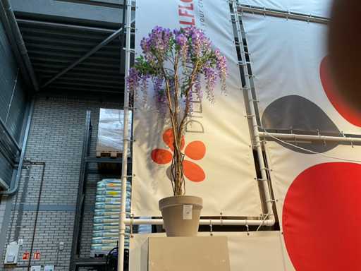 Glycine artificielle en pot