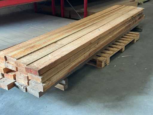 Feuille de pin RND (20 fois)