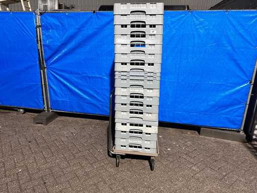 Kar met 17 vaatwasserkratten